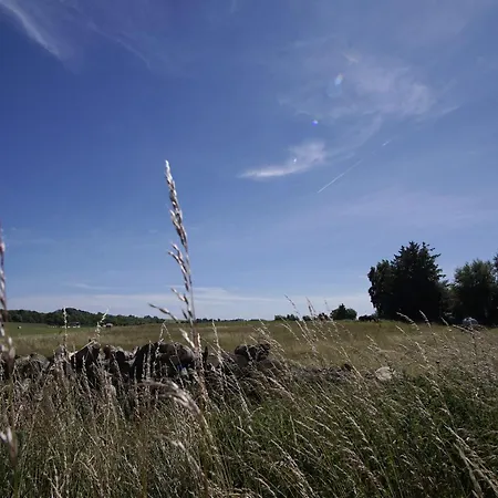 Viel Und Idyllische Umgebung - Honigtopf Maerchenwald Appartamento Sagard